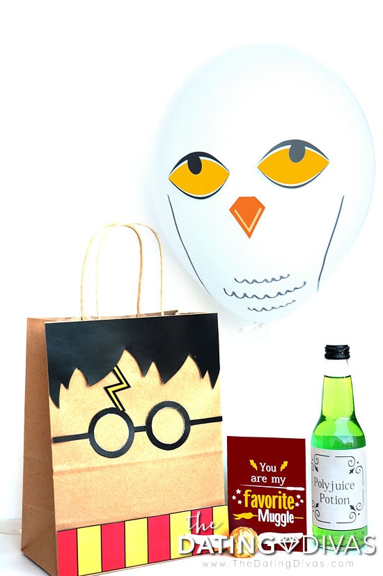 Harry Potter Bag and Gift with owl printables!