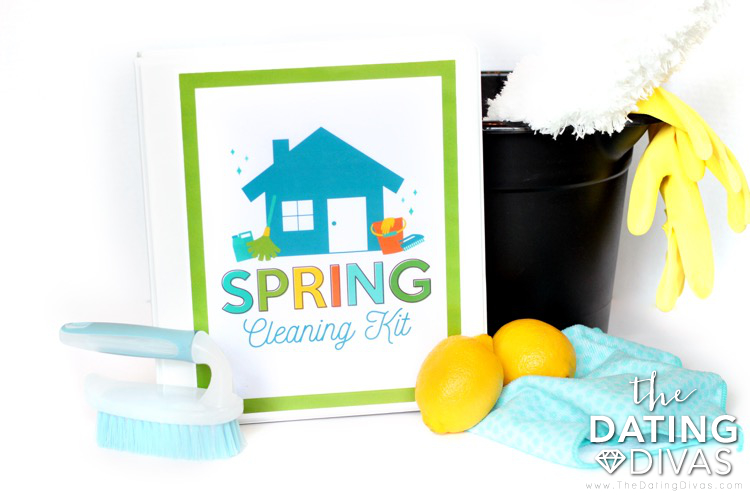 Spring Cleaning Organization