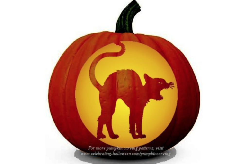 Halloween Cat Decor - dateyourspouse.com Black cat classic Halloween pumpkin patterns. | The Dating Divas