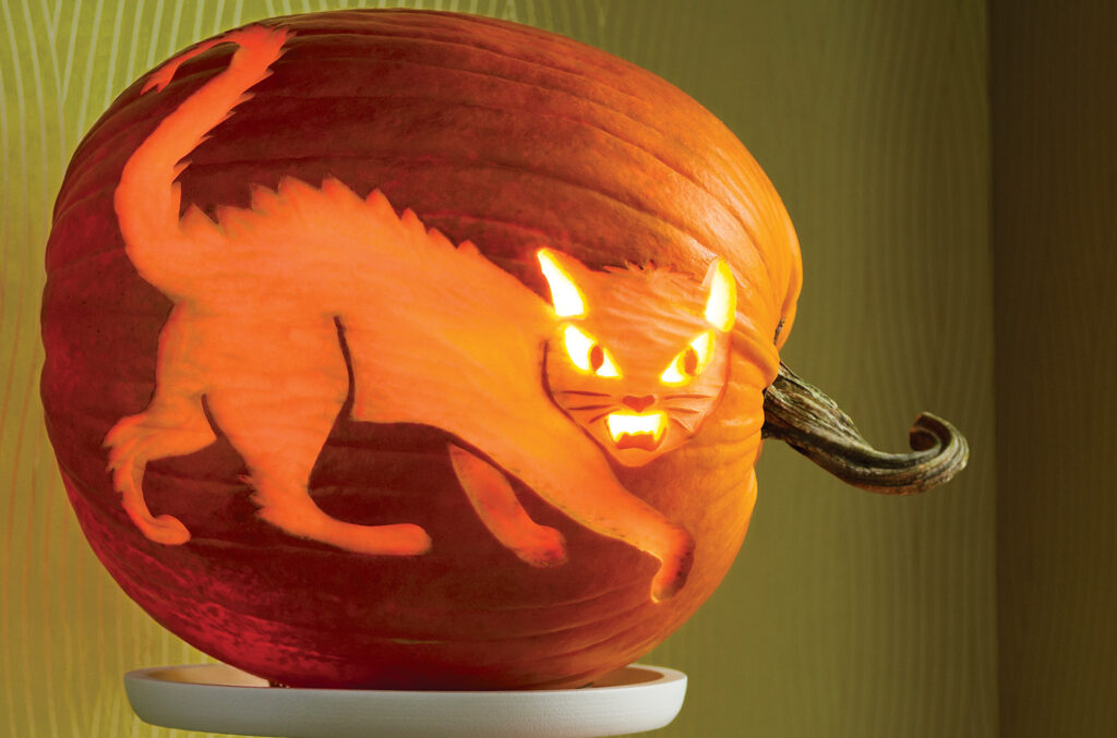Cat Pumpkin - dateyourspouse.com Spooky cat free pumpkin stencils. | The Dating Divas