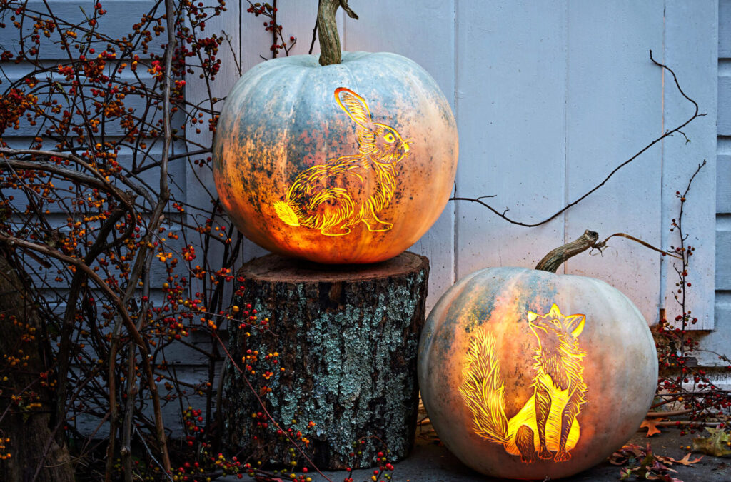 Rabbit Pumpkin - dateyourspouse.com Beautiful pumpkin carving pattern templates. | The Dating Divas