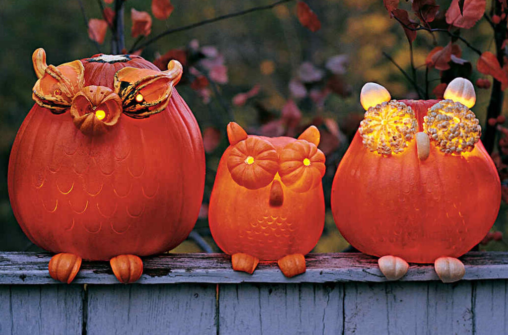 Owl Gourds - dateyourspouse.com Owls made out of pumpkins. | The Dating Divas