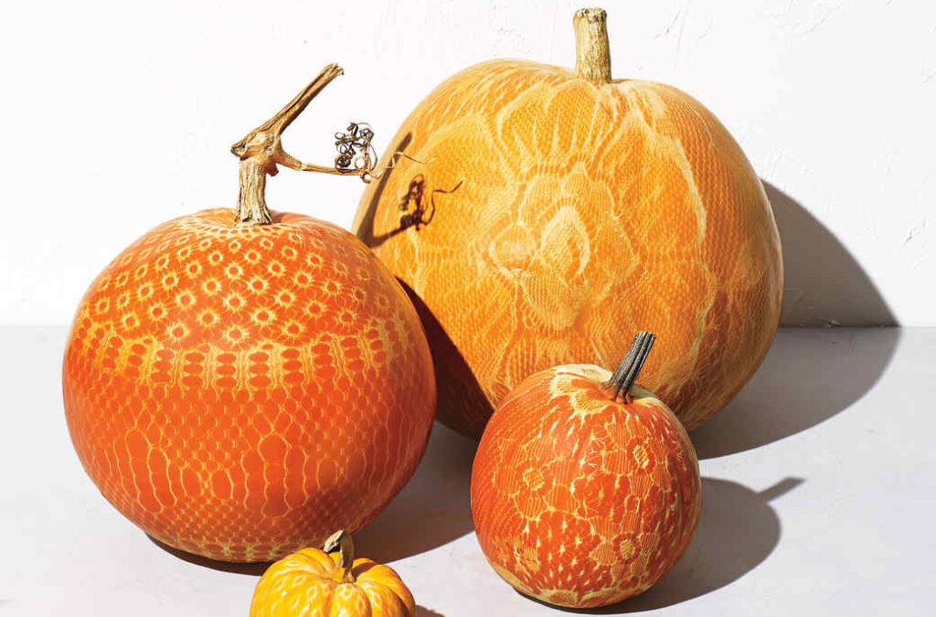 Lace Pumpkin Carving - dateyourspouse.com Lace pumpkin idea for a pumpkin carving party.| The Dating Divas