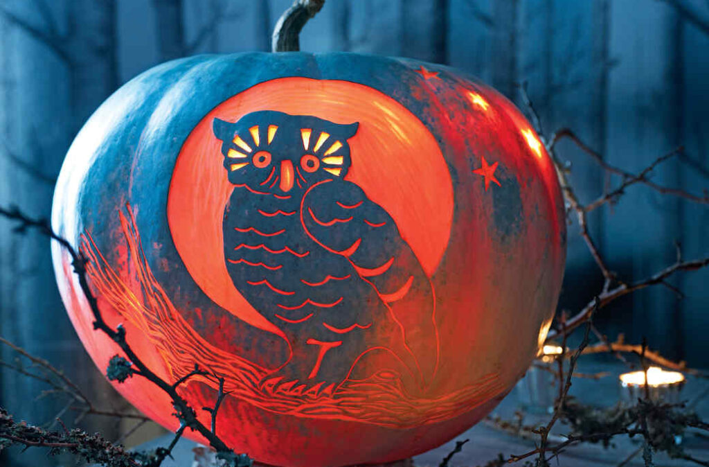 Owl Pumpkin - dateyourspouse.com Beautiful owl pumpkin carving patterns. | The Dating Divas