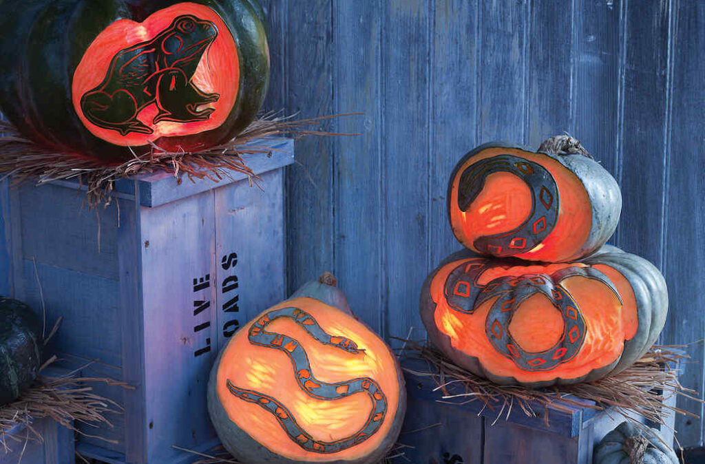 Snake Pumpkin - dateyourspouse.com Snake pumpkins and reptile stencils for pumpkin carving patterns. | The Dating Divas
