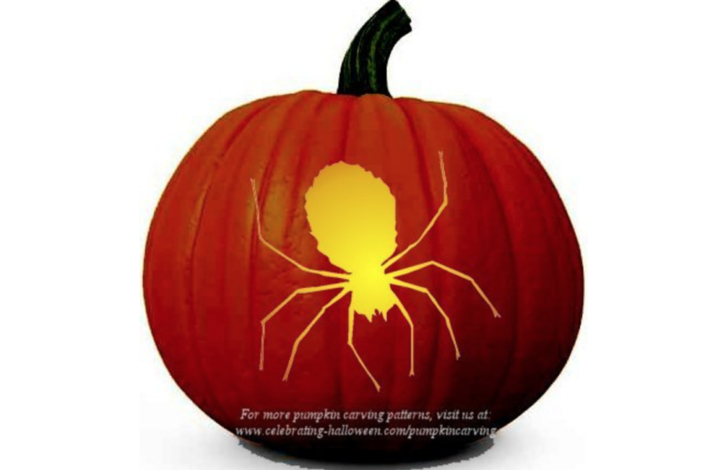 Spider Pumpkin - dateyourspouse.com Spider pumpkin carving ideas. | The Dating Divas