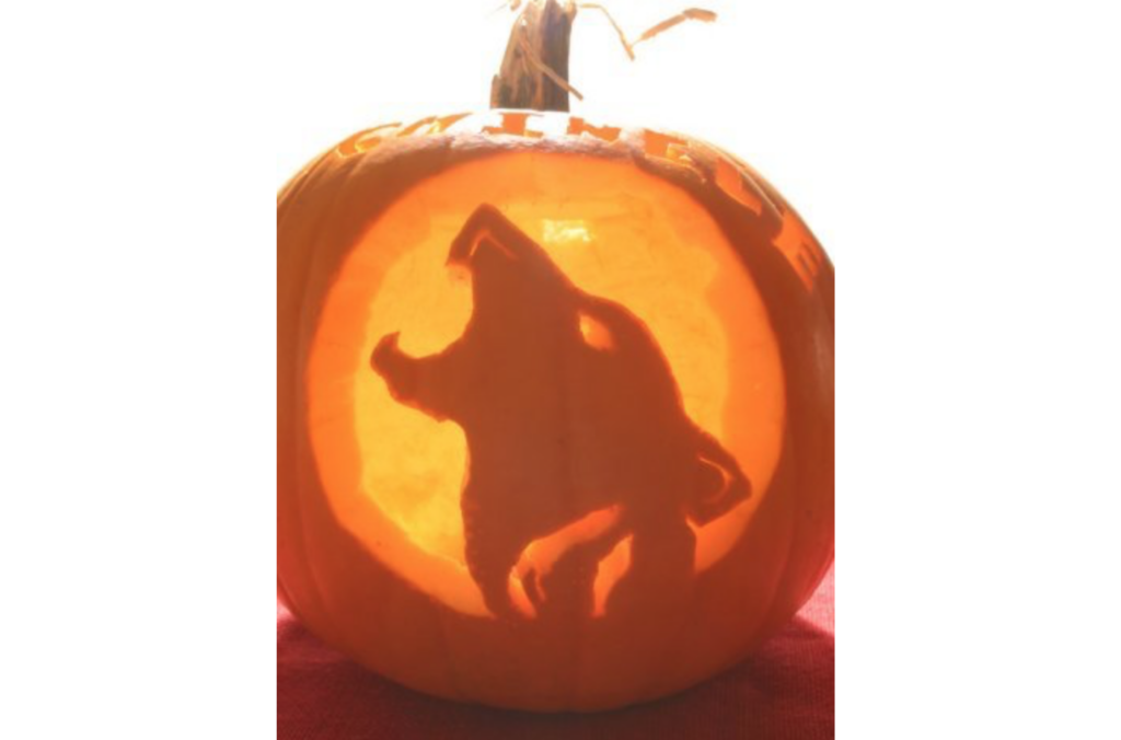 Wolf Pumpkin - dateyourspouse.com Wolf and werewolf pumpkin pattern for pumpkin carving. | The Dating Divas