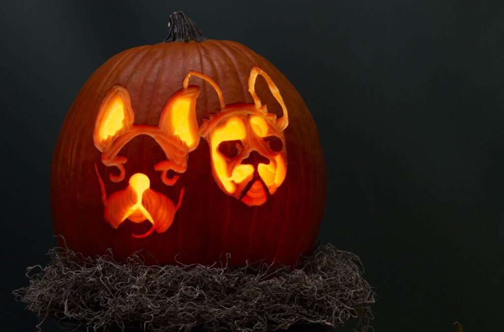 Carve Bull Dogs - dateyourspouse.com Pet dog pumpkin patterns and templates for pumpkin carving. | The Dating Divas
