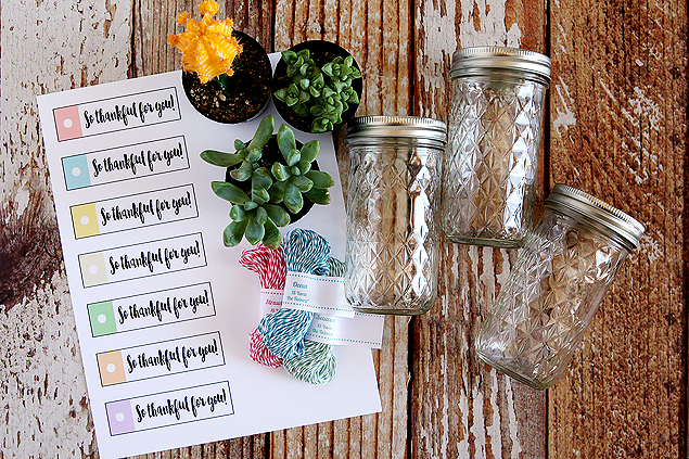 Thankful for You Succulents for Gifts - thedatingdivascom.bigscoots-staging.com Thankful for you ideas that are perfect for gifts. | The Dating Divas