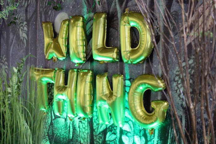 Baby Shower Idea for Boys - Where the Wild Things Are - dateyourspouse.com "Wild Thing" Baby Shower Idea | The Dating Divas