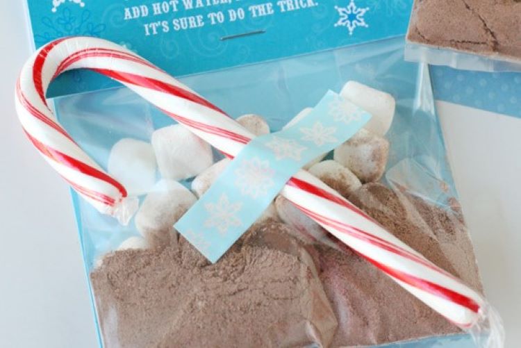 Hot cocoa and mini marshmallows in a bag with a poem - dateyourspouse.com A miniature hot cocoa kit and a fun Christmas poem | The Dating Divas