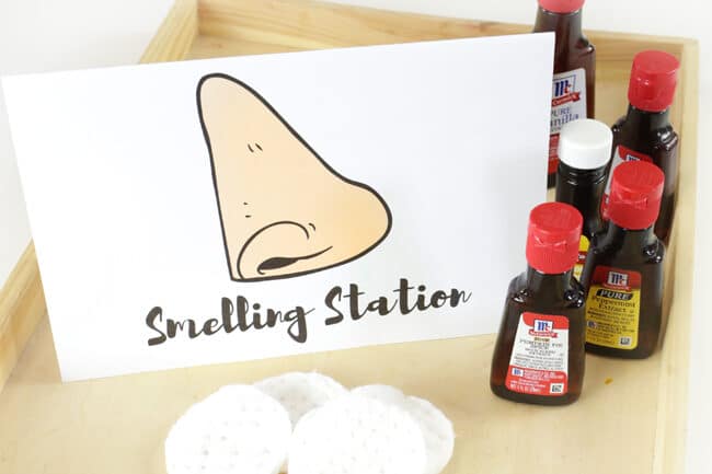 Toddler activities to teach about sense of smell - thedatingdivascom.bigscoots-staging.com Sense of smell preschool activities | The Dating Divas