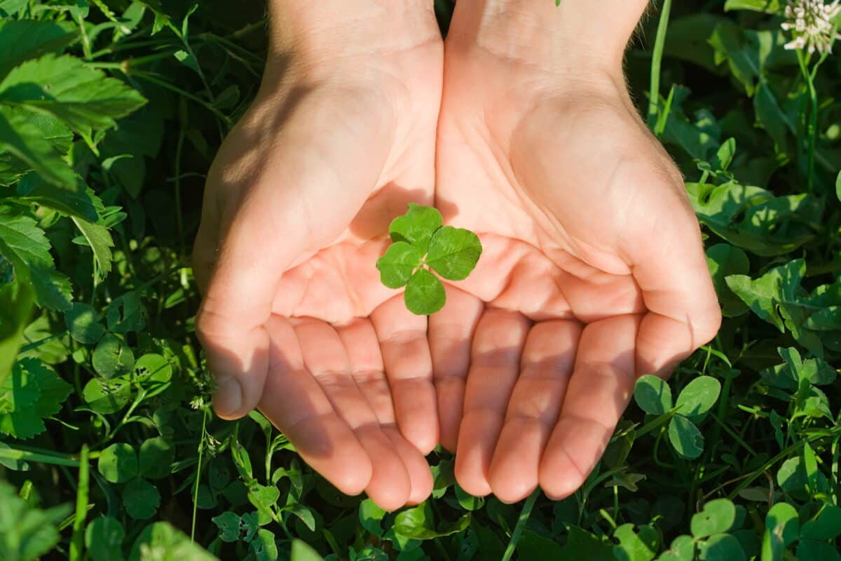 St. Patrick's Day quotes and sayings for your party! | The Dating Divas