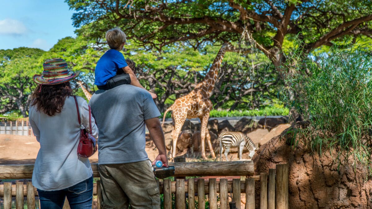 Take your family to the zoo to celebrate this fun national day! | The Dating Divas