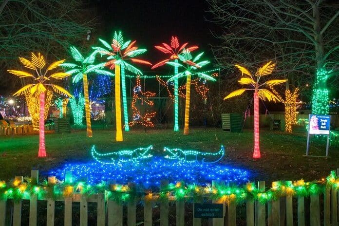 See the zoo lights for fun winter activities this year! | The Dating Divas