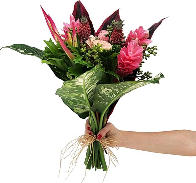 Amazon has a ton of Valentine's Day flowers to choose from! | The Dating Divas