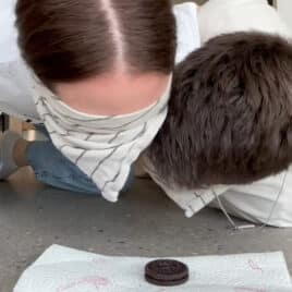 Husband and wife, both blindfolded- racing to eat a cookie for a couples challenge
