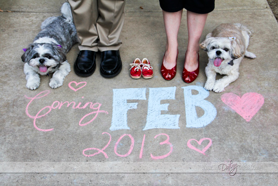 Candice-Great Expectations-Puppies