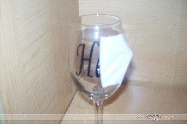 LisaM-His-and-Hers-glasses-4