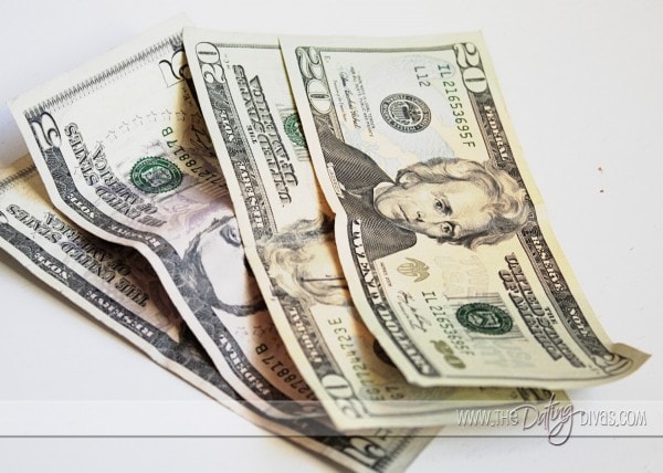 Erika - Guest Blogger Money