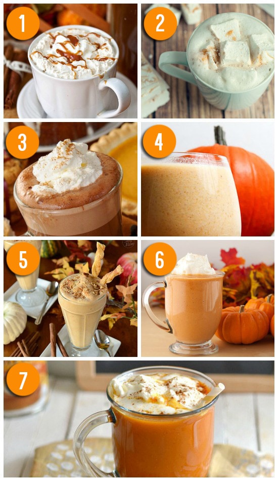 Drink Ideas Using Fresh Pumpkin - dateyourspouse.com Fresh pumpkin recipes for drinks. | The Dating Divas