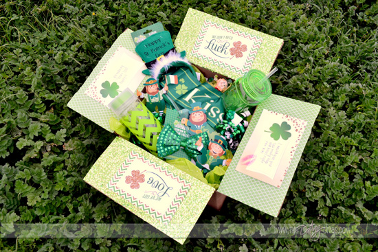 Irish Care Package
