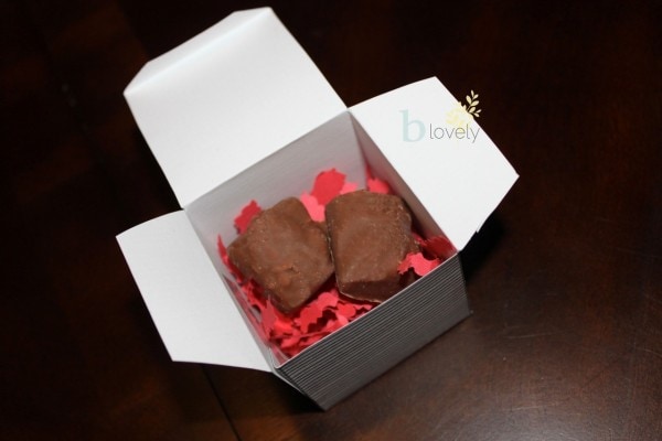 Tara-Guest Post-Jenn-Sweet Box-2