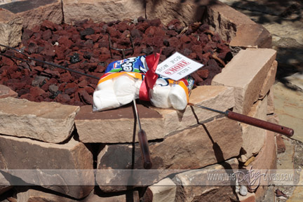 Erika - Love is a battlefield smores