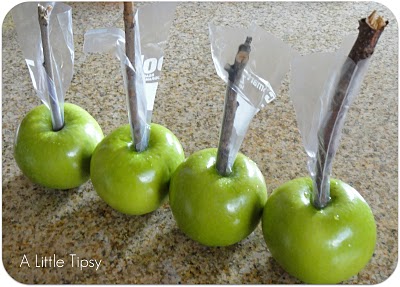 cami- pumpkin carmel apple- step 2