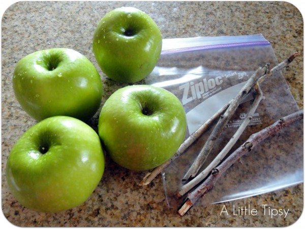 cami- pumpkin carmel apple- washed apples