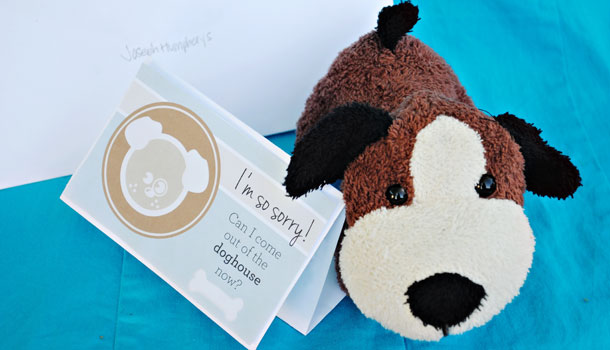 A stuffed animal dog with a note that says, "I'm so sorry! Can I come out of the doghouse now?"