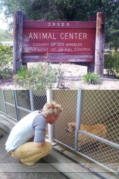 Kristen-DogGoneDayDate-5