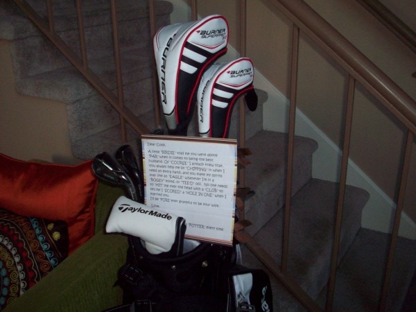 wendy-ss-golf-clubs