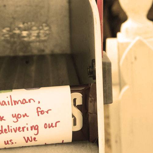 robin-service-mailbox