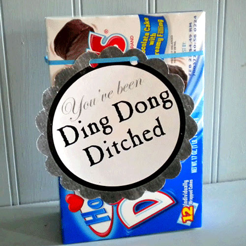 robin-service-ding-dong